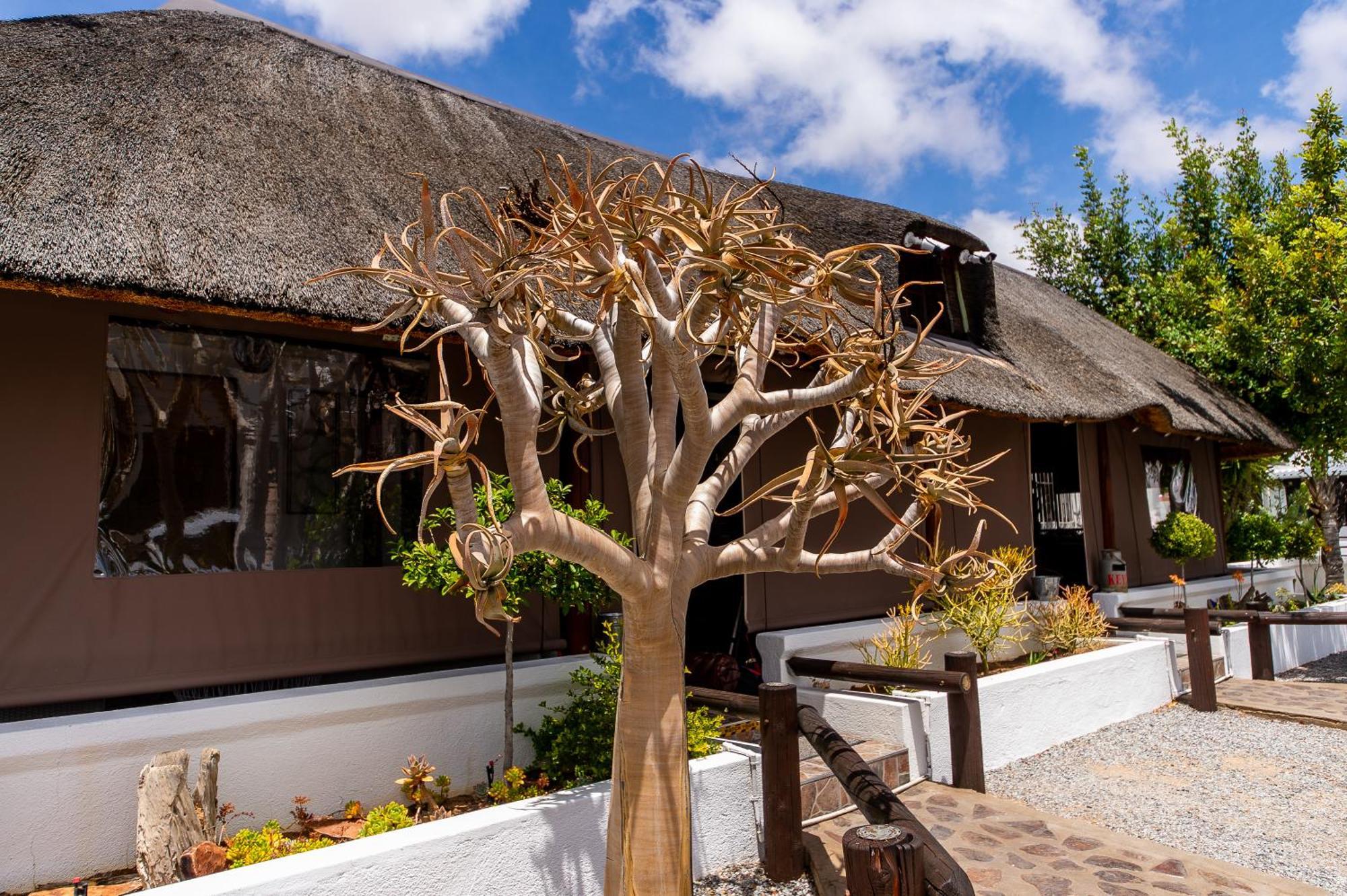 Kleinplasie Guesthouse Springbok Exterior photo